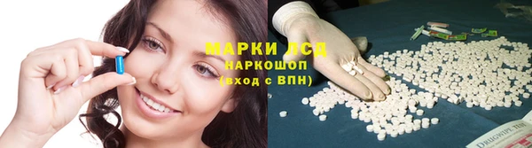 бошки Богданович
